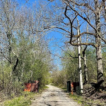 D Hotes, La Maison De Kat